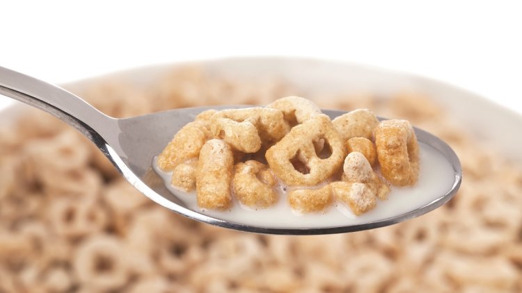 Free school breakfasts for all children would tackle child poverty whilst boosting educational attainment