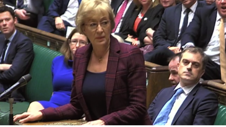 WATCH: Andrea Leadsom confronts John Bercow over ‘stupid woman’ jibe in dramatic Commons clash