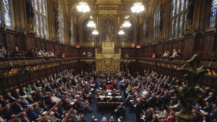 Lords Diary: Lord Mann