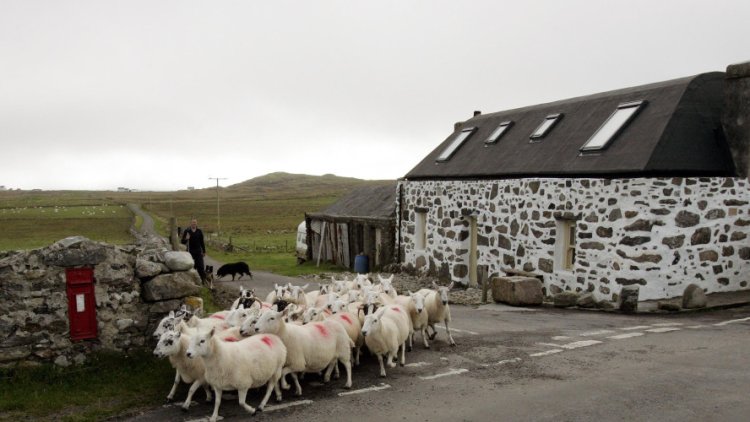 Jeremy Corbyn warns no-deal Brexit risks 'carnage' for UK farms who 'may have to cull millions of animals'