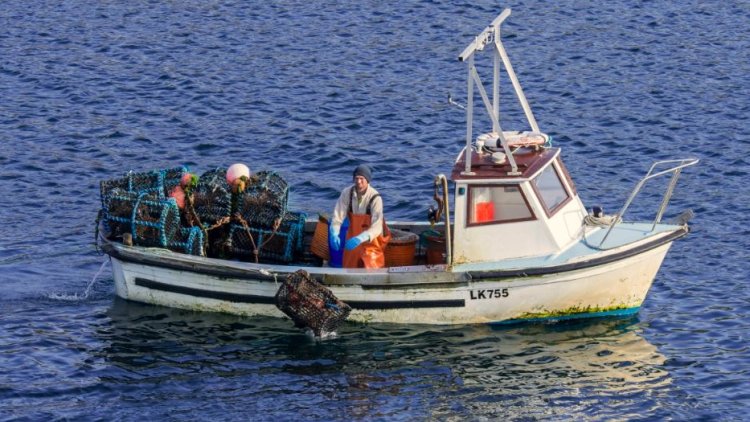 Scottish Tory MPs threaten to vote down Brexit deal over fishing row