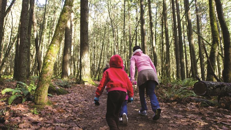We can hand on the natural environment in a better state than we found it