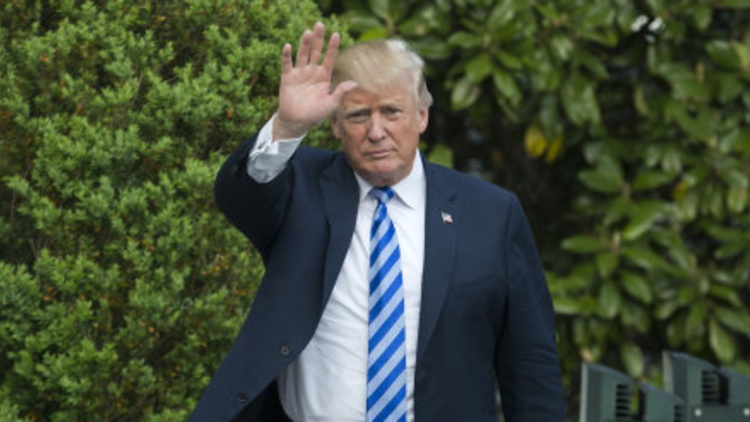 Donald Trump will not address Parliament during state visit to the UK