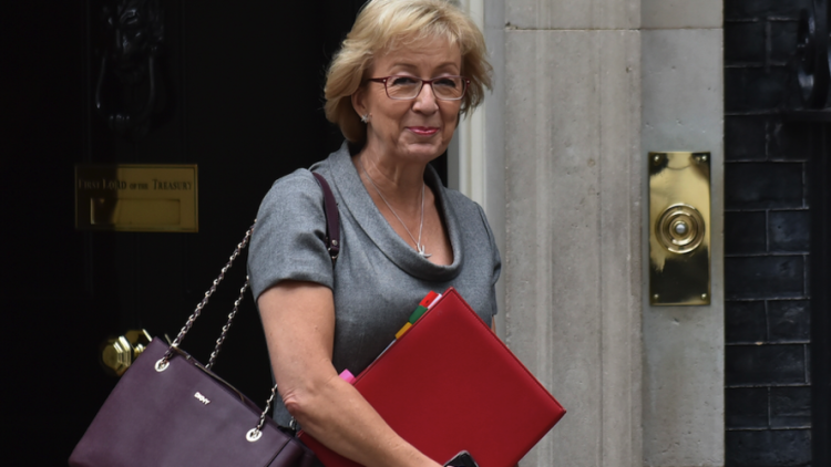 Andrea Leadsom hints 'meaningful vote' on Brexit deal could come days before departure