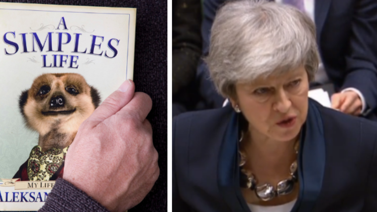 'Simples!' Theresa May channels Aleksandr the Meerkat from insurance ads in Brexit spat