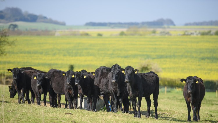 Rethinking the way we do agriculture policy – Defra minister George Eustice