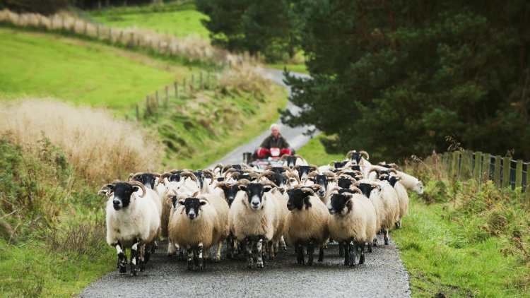 Lord Foster: Rural Britain has felt ignored for too long - we need a comprehensive rural strategy