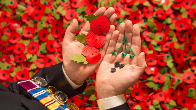 Ignore the angry and the ill-informed and support the Poppy Appeal