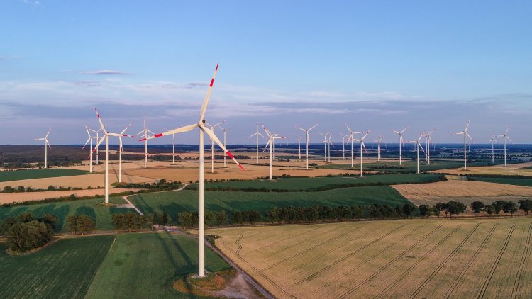 The new Prime Minister can unite the country behind the commitment to Net Zero