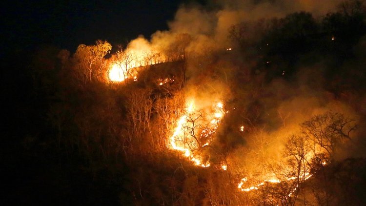 Labour criticises Boris Johnson over ‘embarrassing’ £10m pledge to help save Amazon rainforest