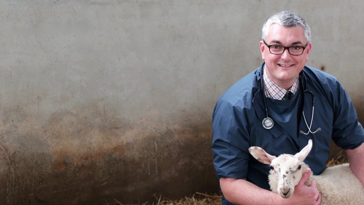 Brexit has ensured greater public & government realisation of the significant role vets play in society