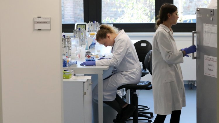 At a crossroads: How a UK-US trade deal would impact the life sciences sector