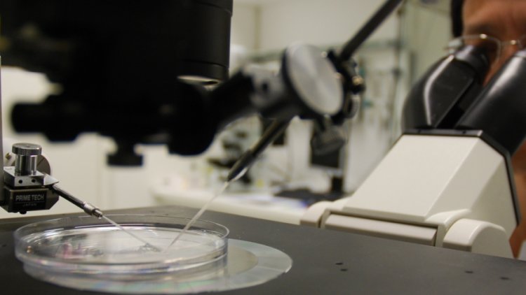 Lord Willetts: Let’s make the UK a centre for cost-effective creative drug discovery