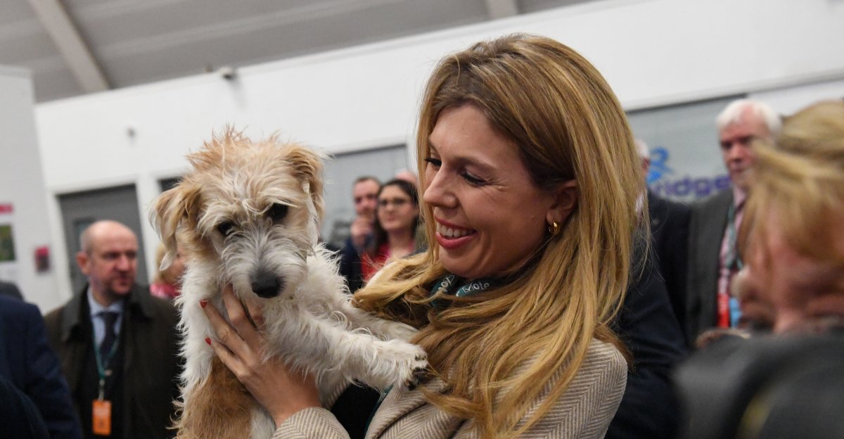 Carrie Symonds Brands Claim No10 Dog Dilyn Is Facing The Axe Total Crap
