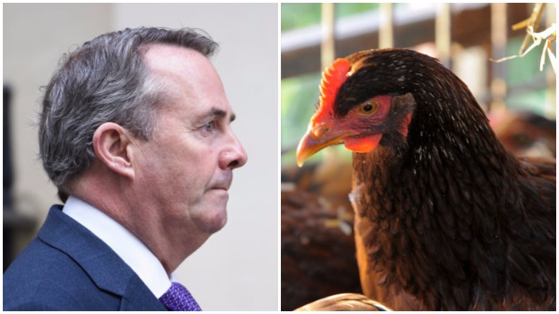 Liam Fox and a chicken Liam Fox and a chicken