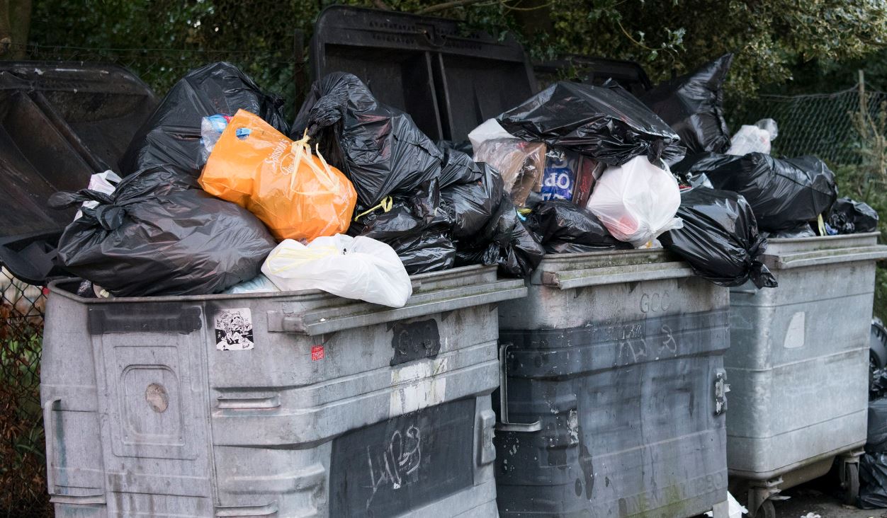 Taking out the trash... Taking out the trash...