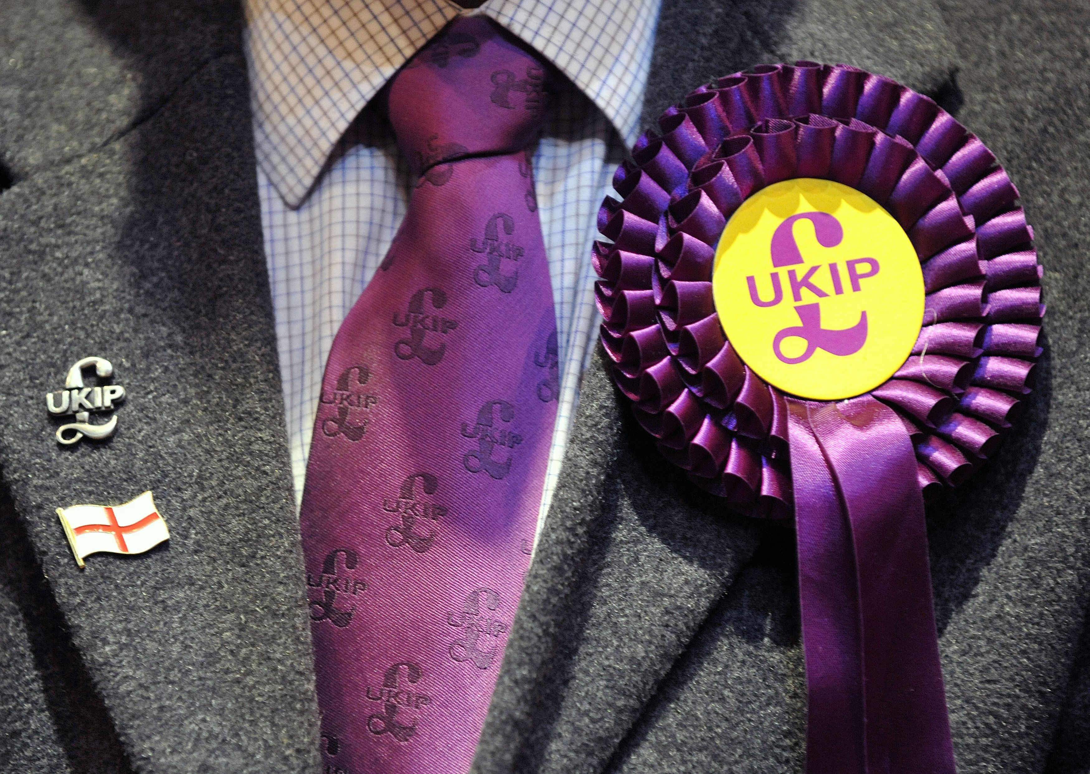 Ukip rosette Ukip rosette