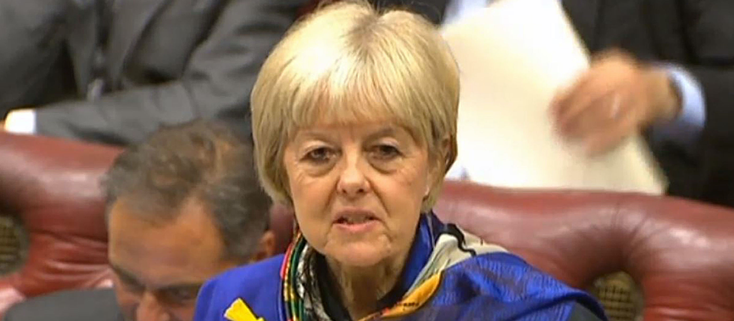 Baroness Hayter Baroness Hayter