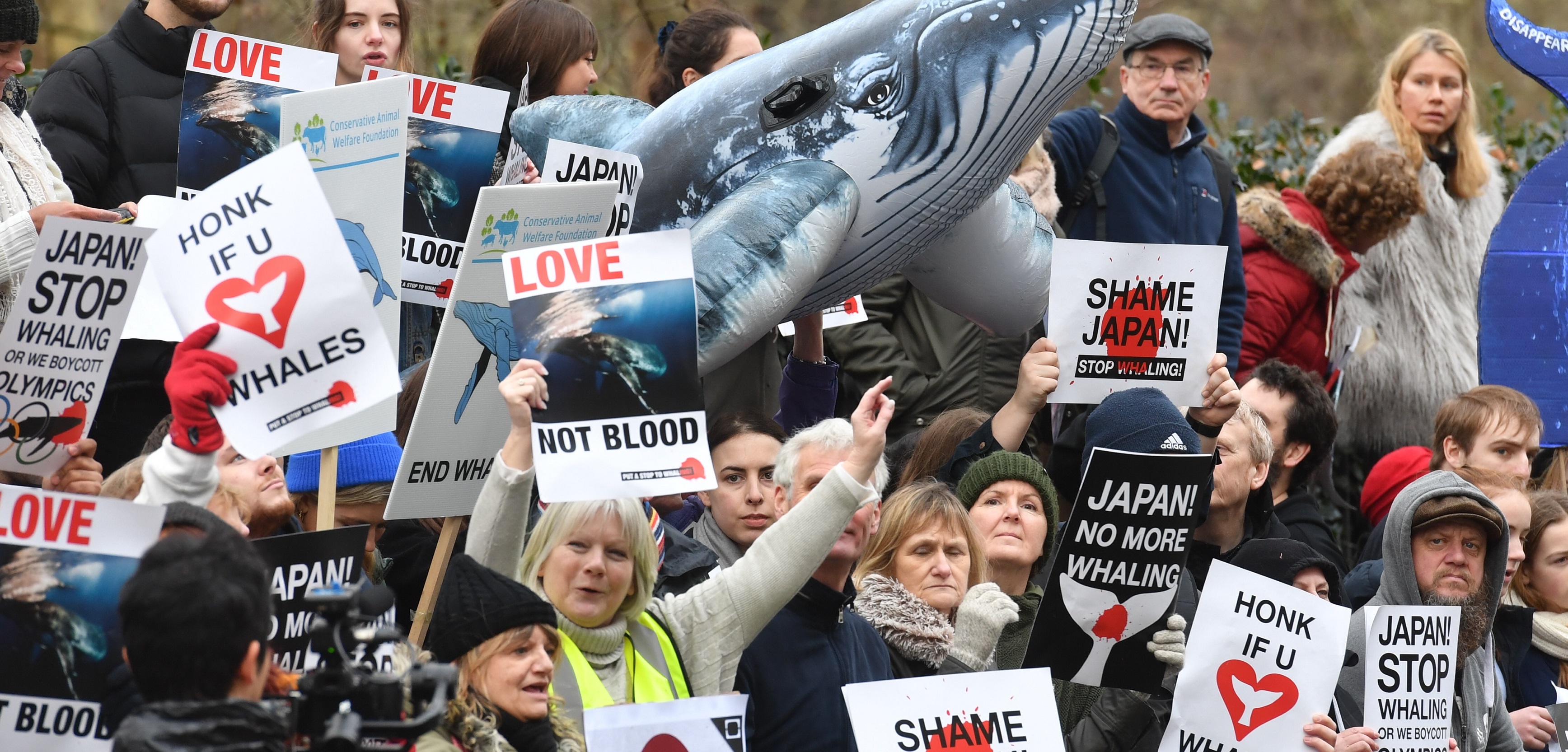 Whaling protest Whaling protest