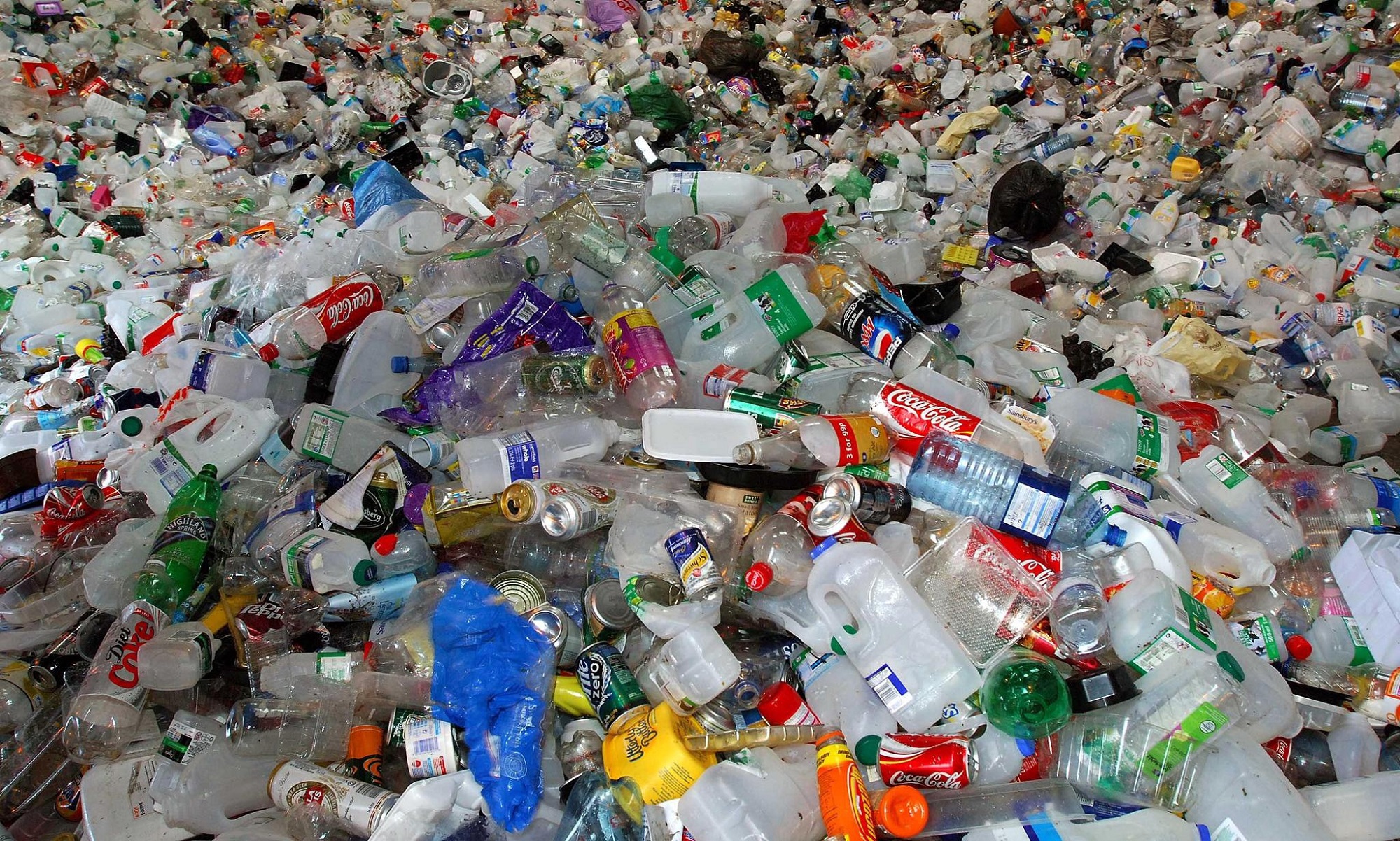 Plastic Plastic