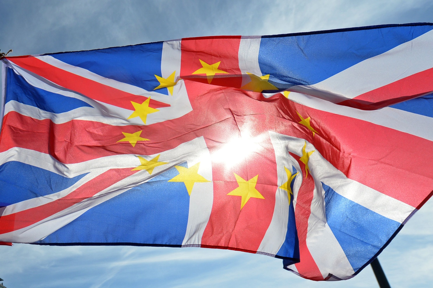 Brexit protest flag Brexit protest flag