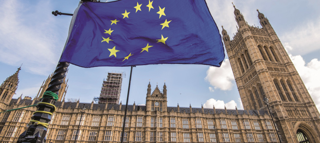 EU flag EU flag
