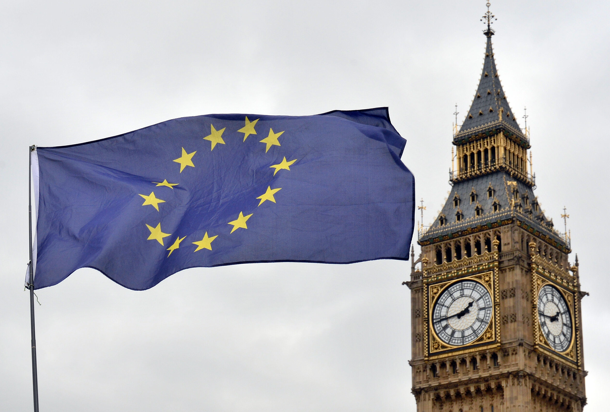 EU flag EU flag