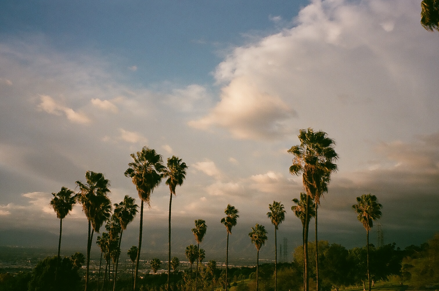 Cloudgazing 