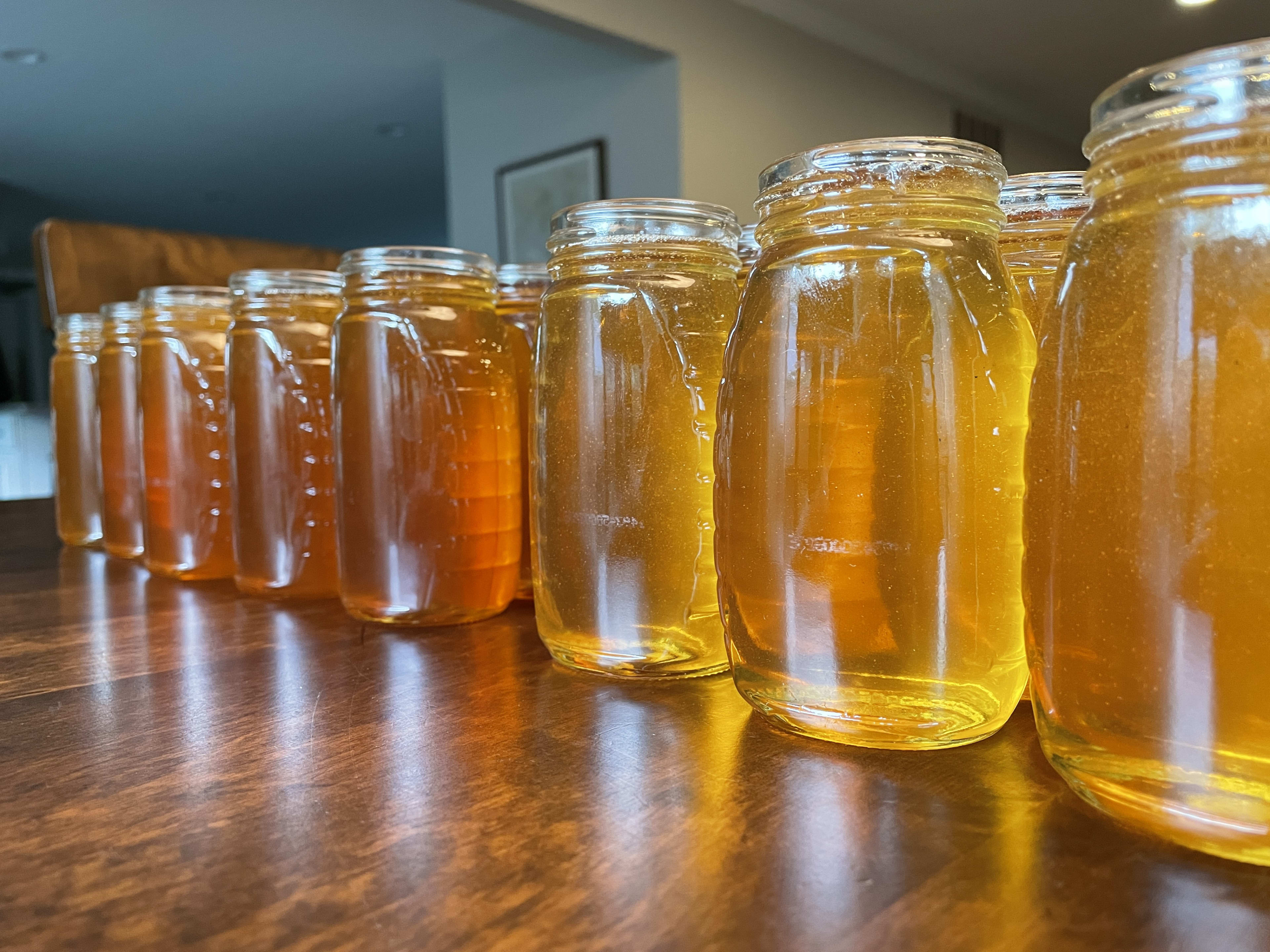 Row of glass jars filled with golden honey on a wooden table, illuminated by natural light.
