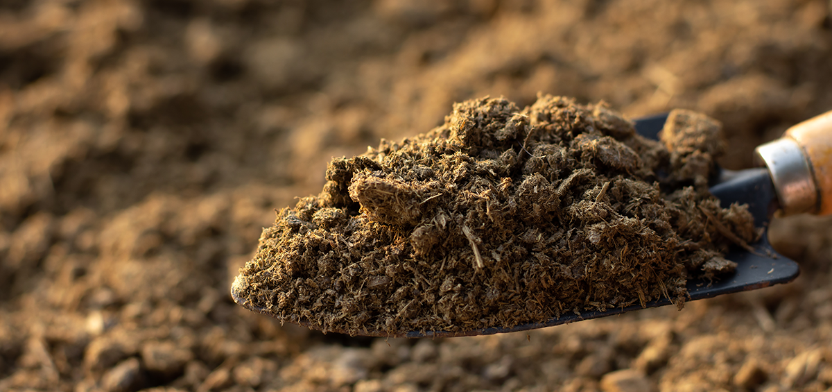 Fertile Soil & Manure Mixtures