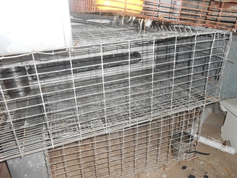 cages lapins - Miniature 3