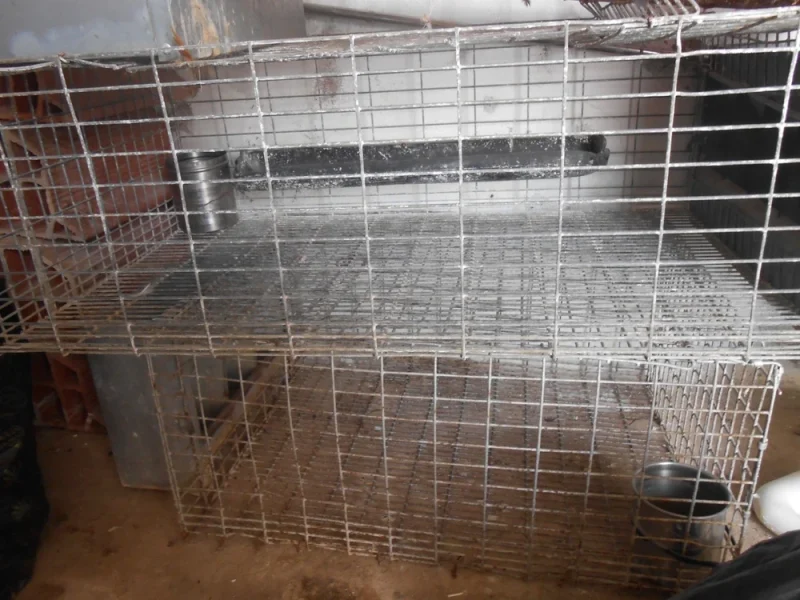 cages lapins - Miniature 2