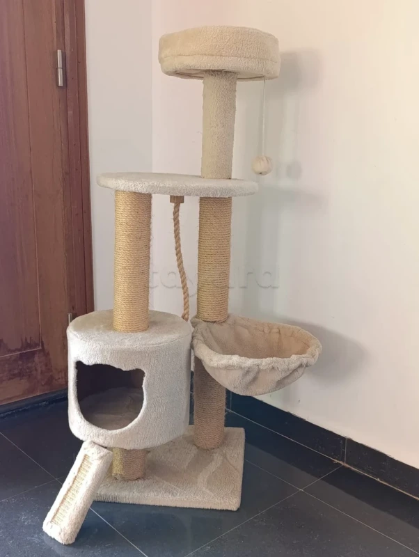 Arbre a chat