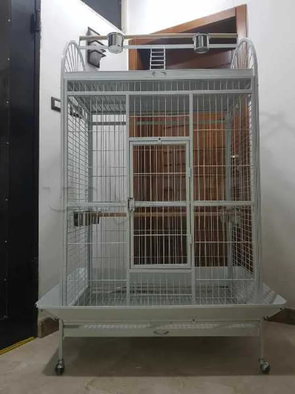disponible grand Cage perroquet neuf