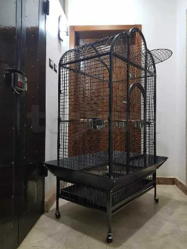 disponible grand Cage perroquet neuf - Miniature 4