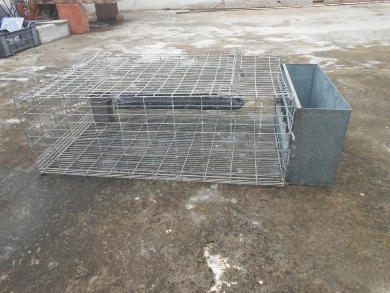 cages lapins