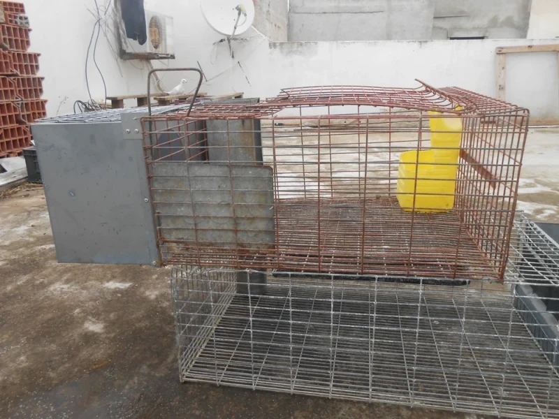 cages lapins - Miniature 3