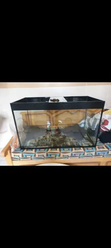aquarium 300L + accessories
