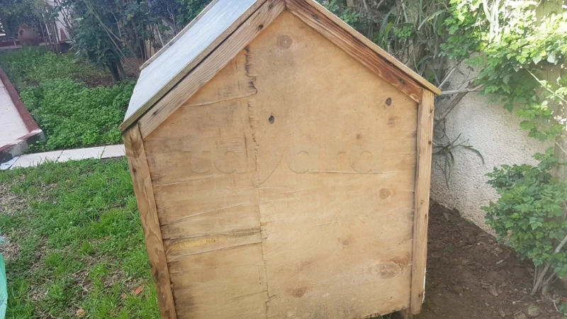 niche de chien