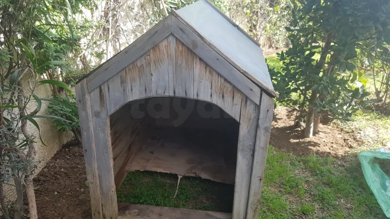 niche de chien - Miniature 2