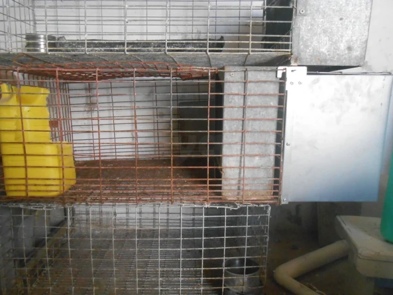 cages lapins - Miniature 3