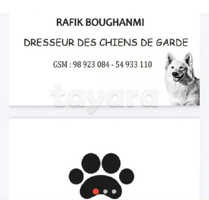 dresseur des chiens de garde à domicile