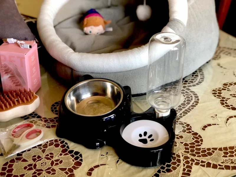 Articles pour chat - Miniature 2