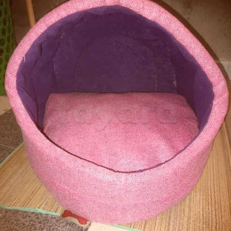 maison chat 🐱