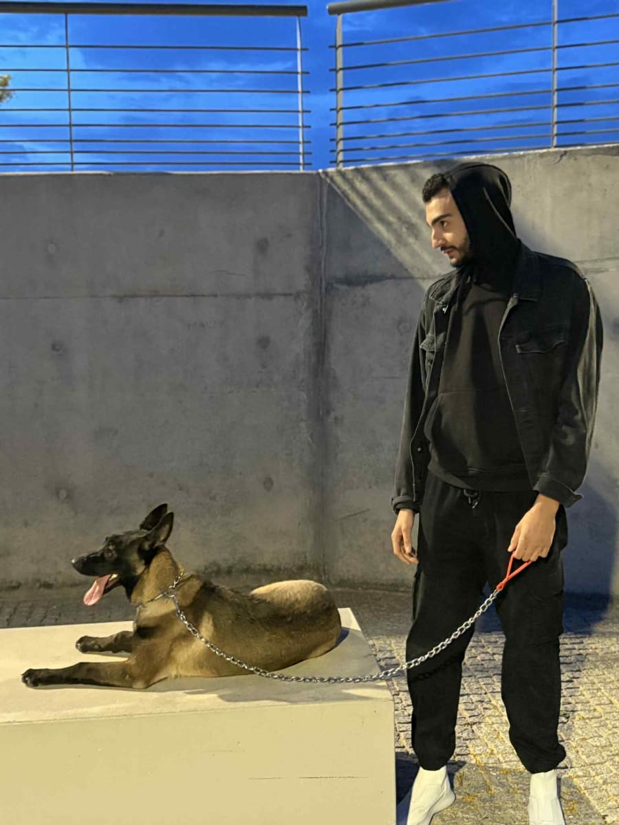 Malinois  - Miniature 4