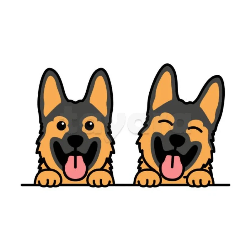 2 Chiots Bergers Allemands poils longs - Photo 1