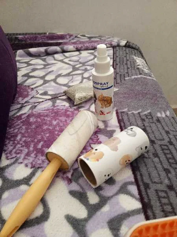 accessoires pour chats