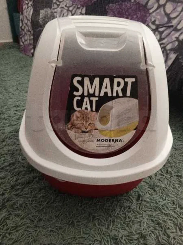 accessoires pour chats - Miniature 4