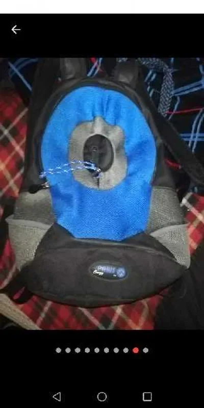 Sac pour chat où petit chien