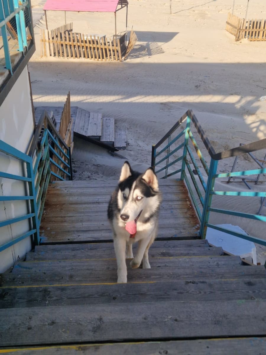 ما شاء الله تبارك الله 